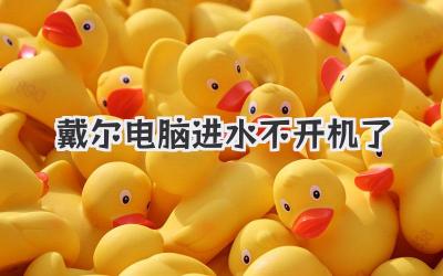 戴爾電腦進(jìn)水不開(kāi)機(jī)了