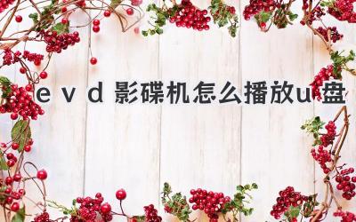 evd影碟機(jī)怎么播放u盤(pán)