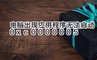 電腦出現(xiàn)應用程序無法啟動(0xc0000005)